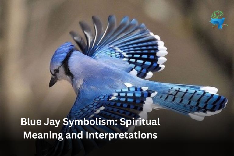 Blue Jay Symbolism: Spiritual Meaning and Interpretations